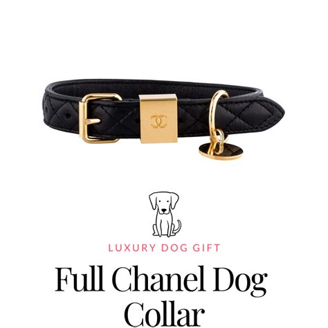 chanel dog collar